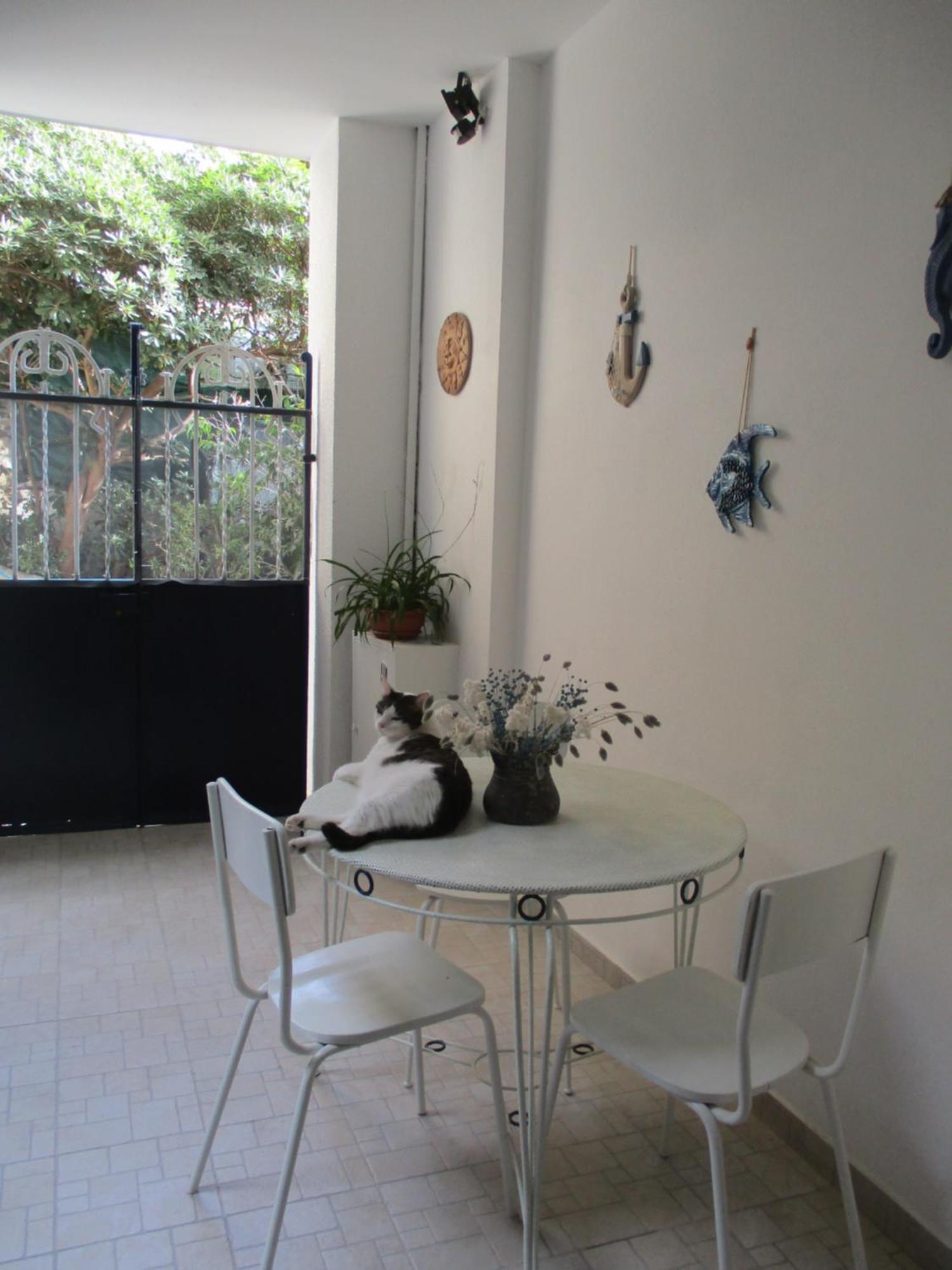 La Casa Del Nespolo Tranquillo Alloggio Vicino Alla Stazione San Remo Buitenkant foto